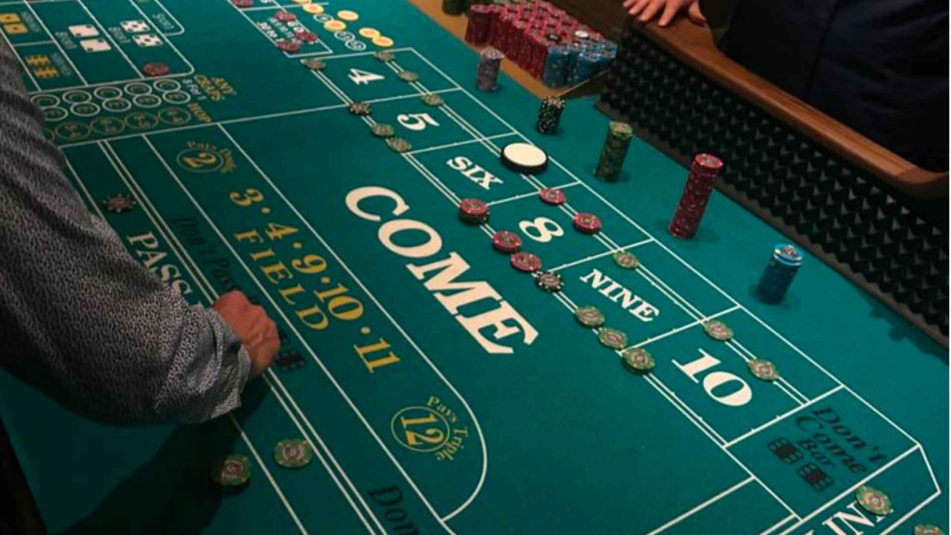 A Beginner's Journey into the World of Baccarat